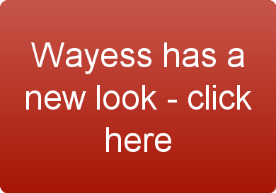 New Wayess website